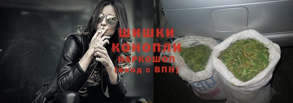 тгк Каменка