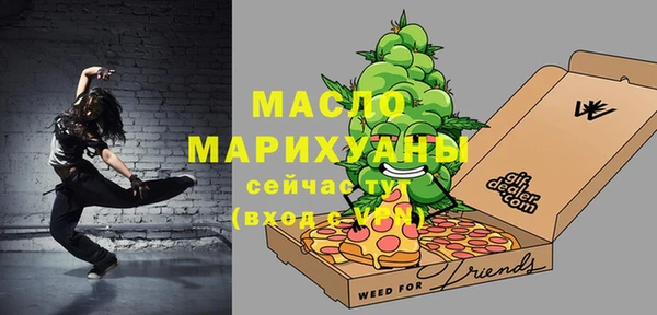 тгк Каменка