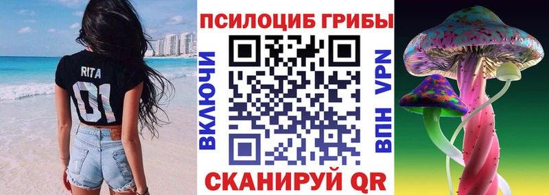 Купить закладки  Кандалакша  Галлюциногенные грибы MAGIC MUSHROOMS 